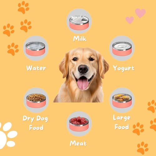 Kyo Personalized Stainless Steel Anti-Slip Dog Bowl (Blue)