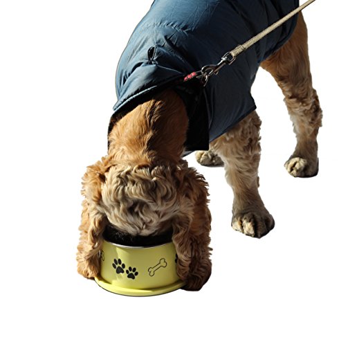 Ergonomic Personalized Spaniel Bowl for Long Ear Dog