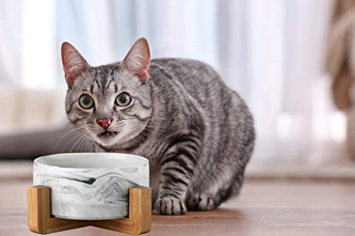 Personalized Ceramic Cat Dog Bowls with Stand