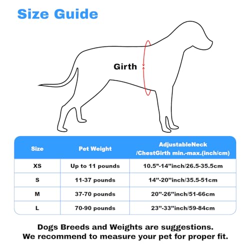 Customized Dog Harness with Name and Phone Number