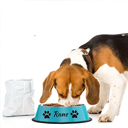 Custom Stainless Steel Colored Pet Bowl with Personalized Name