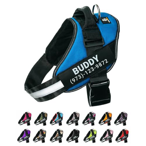 Blue Personalized No Pull Dog Harness with Name Patches