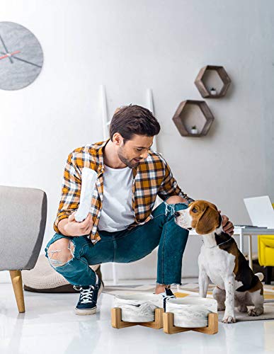 Personalized Ceramic Cat Dog Bowls with Stand