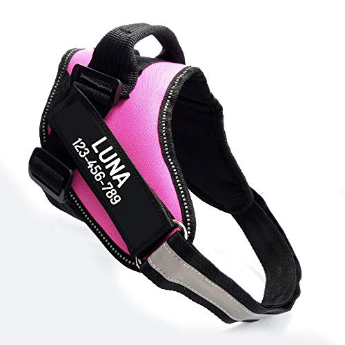Personalized No-Pull Dog Harness with Name and Phone