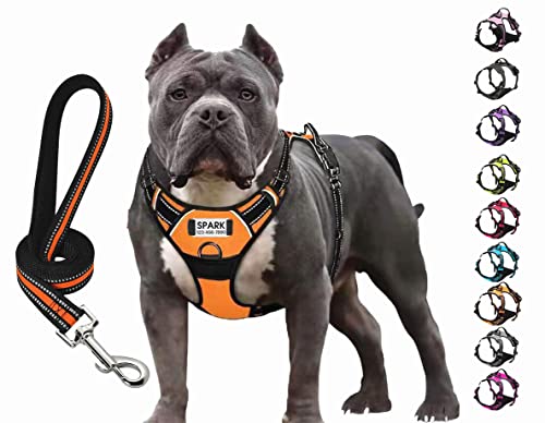 Personalized No Pull Dog Harness Set with Leash
