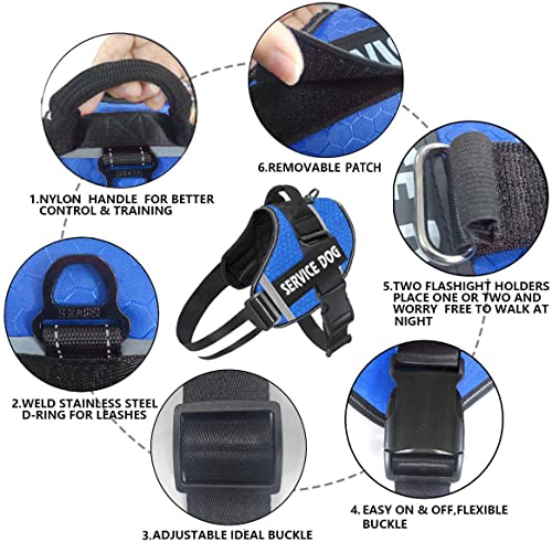 Personalized No Pull Dog Harness Leash Set - Customized