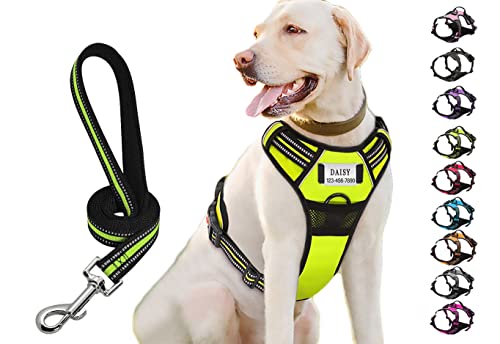 Personalized Moonpet Dog Harness Leash Set with Name & Phone Number