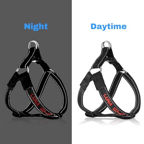 Customized Dog Harness with Name and Phone Number