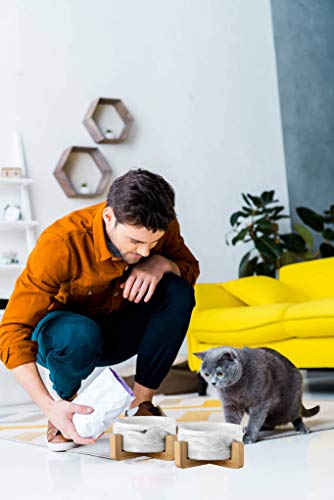 Personalized Ceramic Cat Dog Bowls with Stand