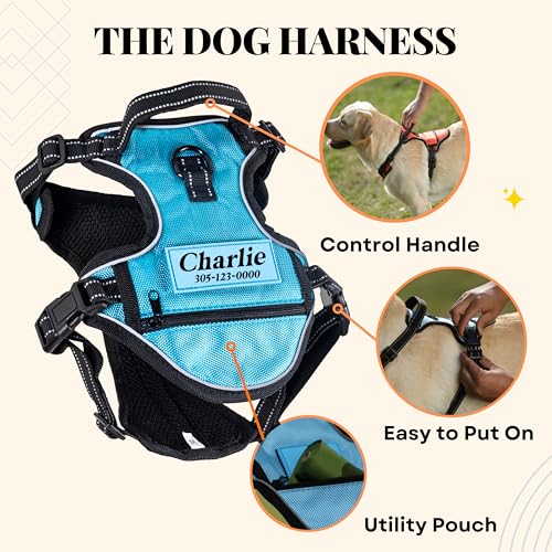 Reflective Personalized Dog Harness with Easy Control Handle