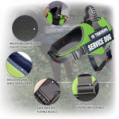 Customized No-Pull Dog Harness with Reflective Patches