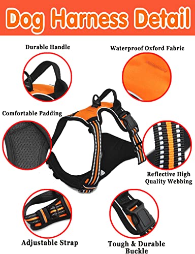 Personalized No Pull Dog Harness Set with Leash
