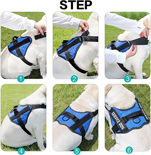 Personalized No Pull Dog Harness Leash Set - Customized