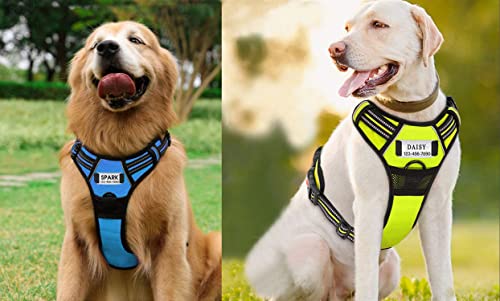 Personalized Moonpet Dog Harness Leash Set with Name & Phone Number