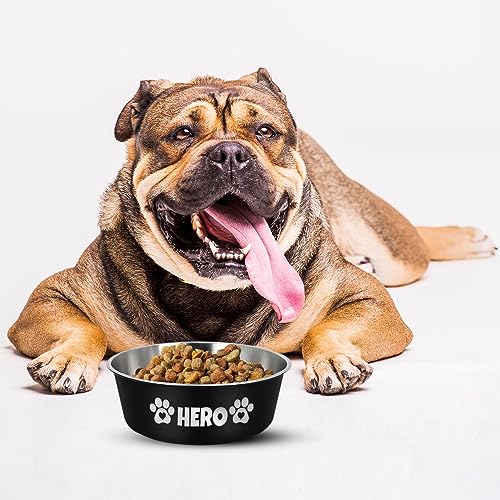 Personalized Stainless Steel Dog Bowl - Engraved with Breeds