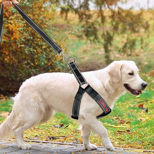 Customized Dog Harness with Name and Phone Number