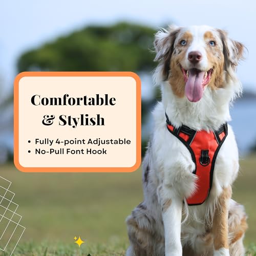 Reflective Personalized Dog Harness with Easy Control Handle