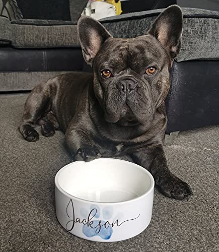 Custom Dog Bowl with Name & Breed Design - Ceramic Bowls with Cute Icons