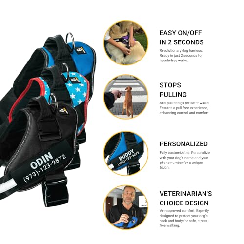 Blue Personalized No Pull Dog Harness with Name Patches