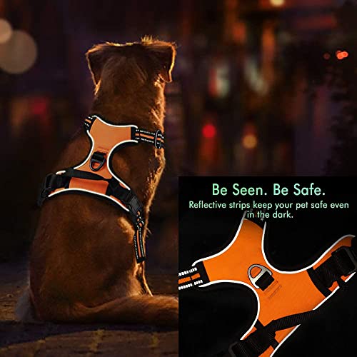 Personalized No Pull Dog Harness Set with Leash