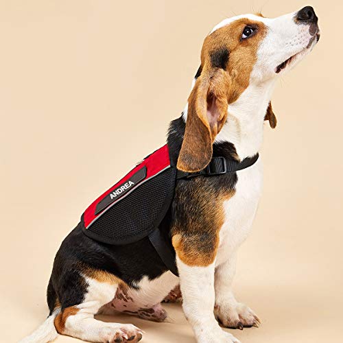 Personalized Dog Name Patch for Harness Vest Collar