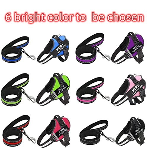 Personalized No Pull Dog Harness Leash Set - Customized