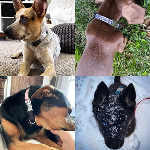 Personalized Stainless Steel Slide-On Pet ID Tags