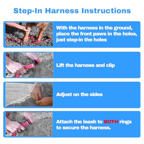 Customized Dog Harness with Name and Phone Number