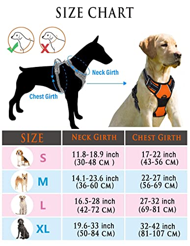 Personalized No Pull Dog Harness Set with Leash