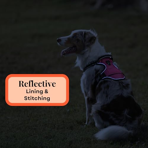 Reflective Personalized Dog Harness with Easy Control Handle