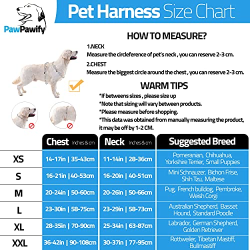 Custom Name and Number No-Pull Dog Harness, Heavy-Duty