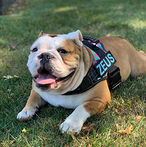 Personalized Dog Name Patch for Harness Vest Collar