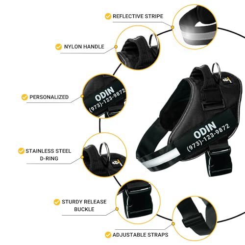 Blue Personalized No Pull Dog Harness with Name Patches