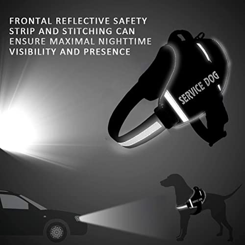 Personalized No Pull Dog Harness Leash Set - Customized