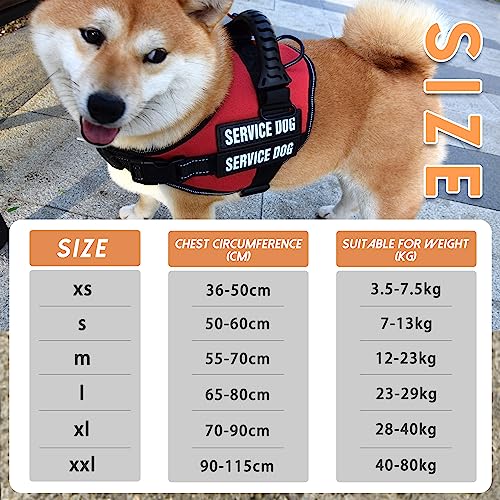 Customized No-Pull Dog Harness with Reflective Patches