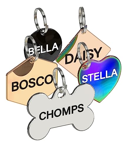Dr. Fremont's Personalized Stainless Steel Pet ID Tags