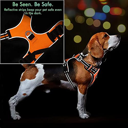 Personalized Moonpet Dog Harness Leash Set with Name & Phone Number