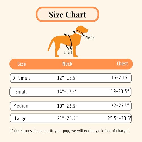 Reflective Personalized Dog Harness with Easy Control Handle