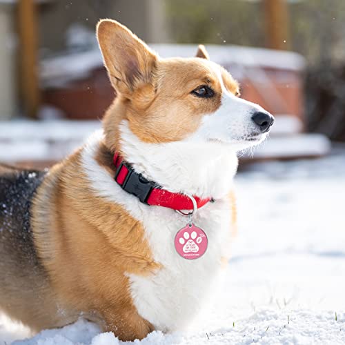 Custom NFC & QR Smart Pet ID Tag