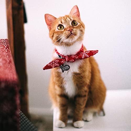 Personalized Stainless Steel Cat Name Tag with Fish Design