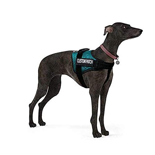 Personalized Dog Name Patch for Harness Vest Collar