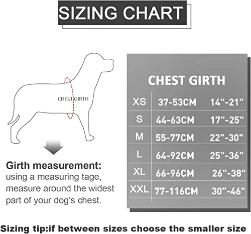 Personalized No Pull Dog Harness Leash Set - Customized