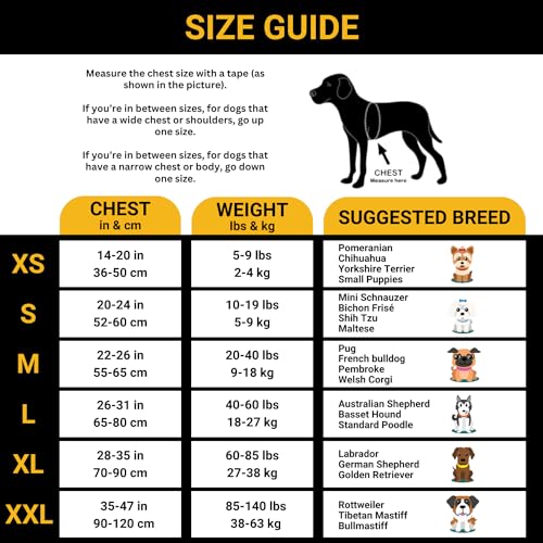 Blue Personalized No Pull Dog Harness with Name Patches