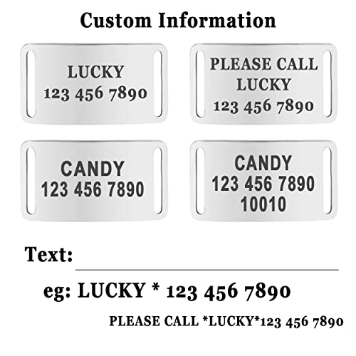 Personalized No Pull Dog Harness Set with Leash