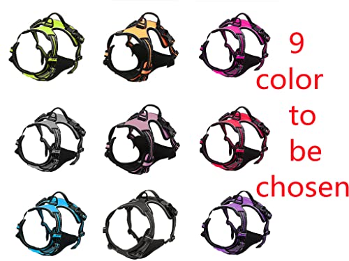 Personalized Moonpet Dog Harness Leash Set with Name & Phone Number