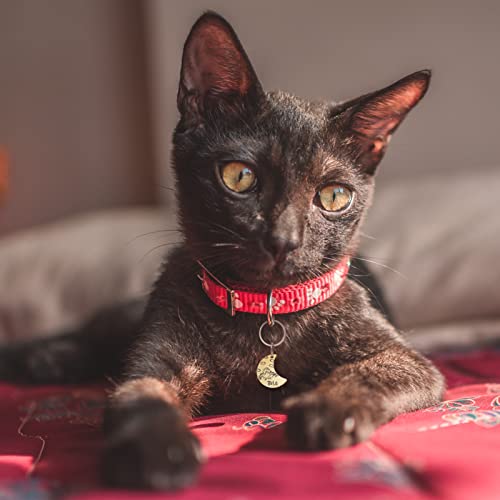 Starry Sky personalized Dog and Cat ID Tags