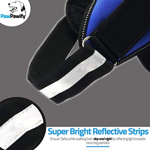 Personalized No-Pull Dog Harness with Name and Phone