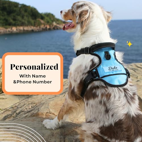 Reflective Personalized Dog Harness with Easy Control Handle