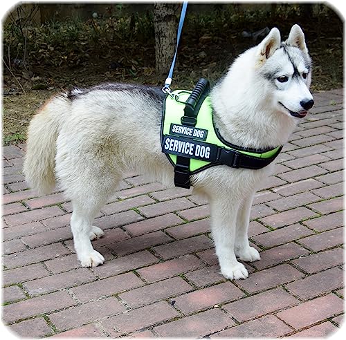 Customized No-Pull Dog Harness with Reflective Patches