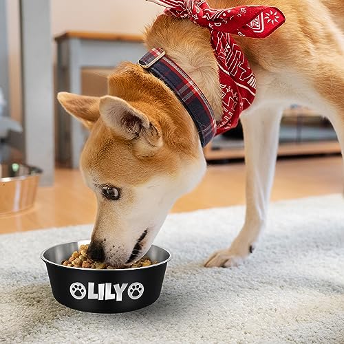 Personalized Stainless Steel Dog Bowl - Engraved with Breeds